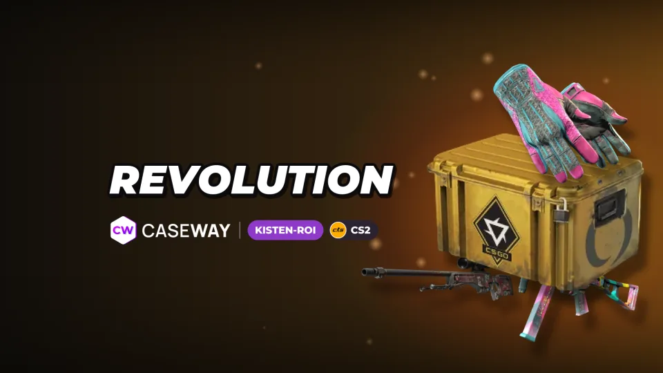 Revolution Case: ROI und Chancen