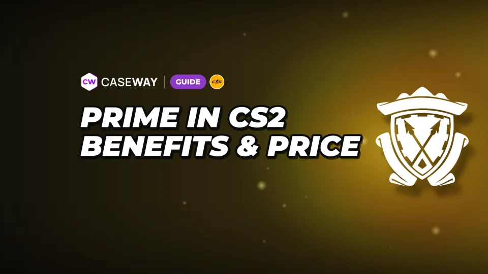 Prime in CS2: What It Offers, How Much It Costs, and How to Play Without It