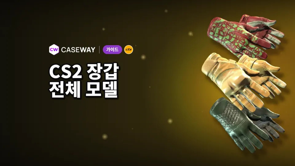 CS2 장갑: 전체 모델, 가장 저렴한 선택지와 케이스