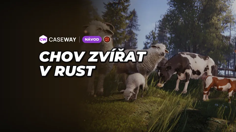 Chov hospodářských zvířat v Rustu: krávy, ovce, mléko, vlna a rozmnožování