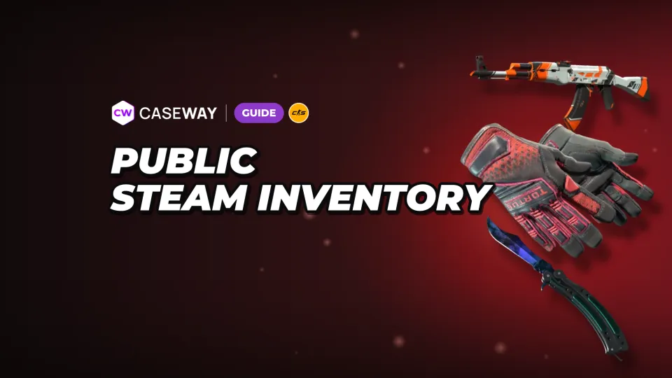 How to Make Your Steam Inventory Public: Privacy Settings and Fixes for Sites That Can’t See It