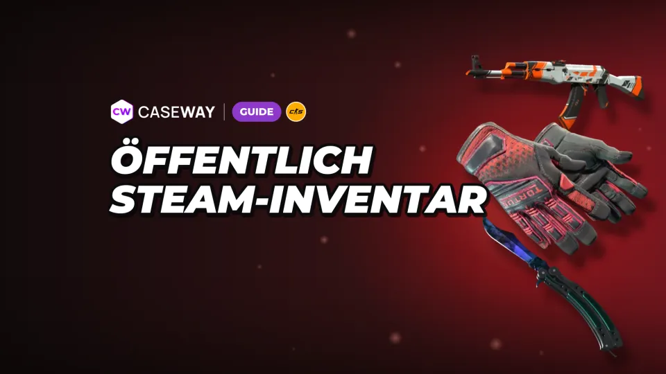 Steam-Inventar öffentlich machen: Privatsphäre einstellen und Probleme beheben