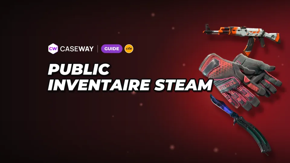 Comment rendre votre inventaire Steam public : paramètres de confidentialité et solutions si un site ne le voit pas