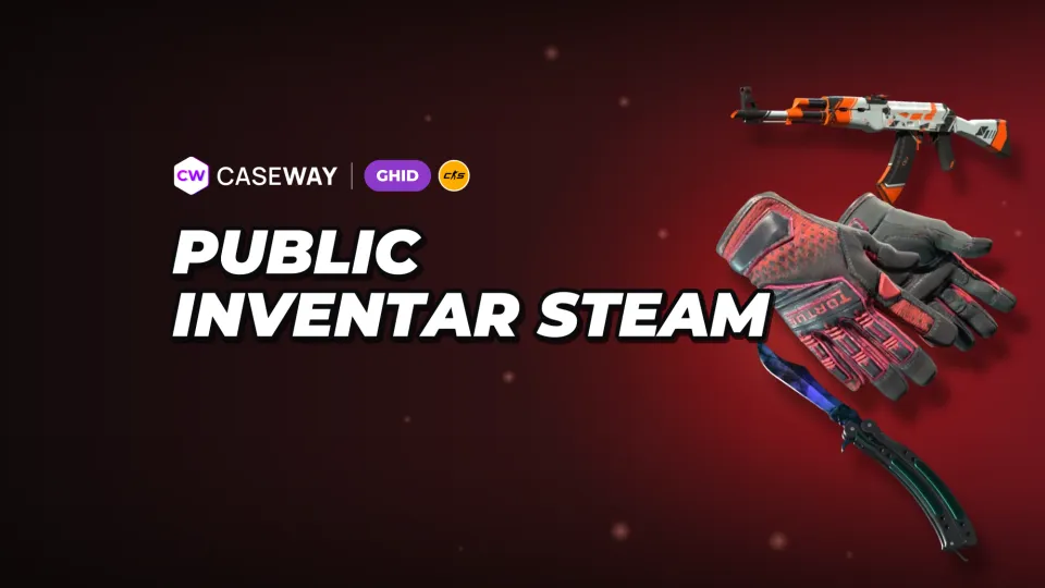 Cum îți faci inventarul public în Steam: setările de confidențialitate și ce faci dacă site-ul nu îl vede