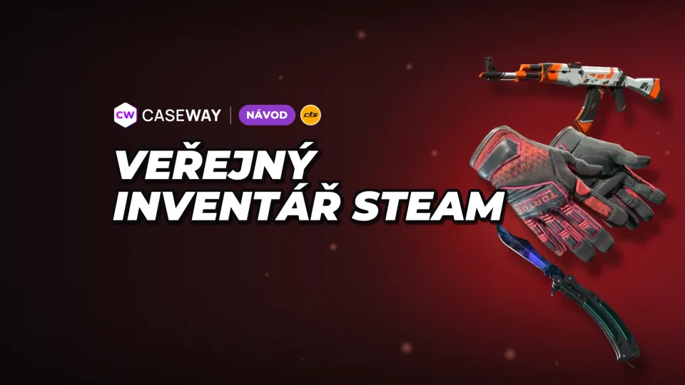 Jak zpřístupnit inventář na Steamu: nastavení soukromí a co dělat, když ho web nevidí