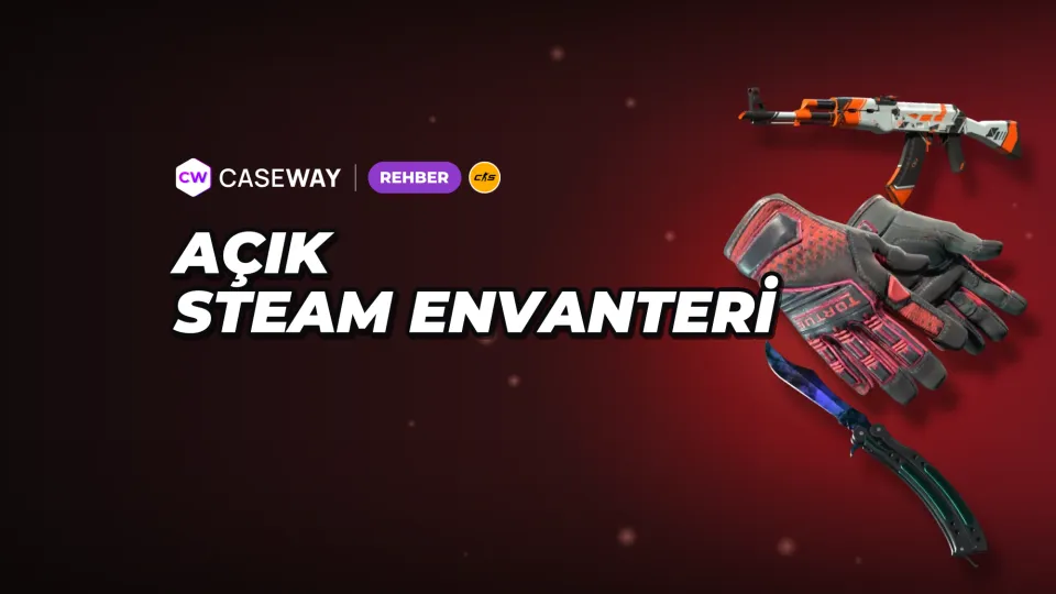 Steam envanteri nasıl herkese açılır? Gizlilik ayarları ve görünmeme sorunları