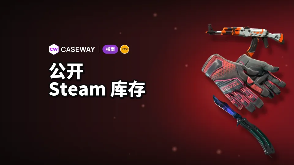 如何在 Steam 中公开库存：隐私设置与网站无法读取时的处理方法
