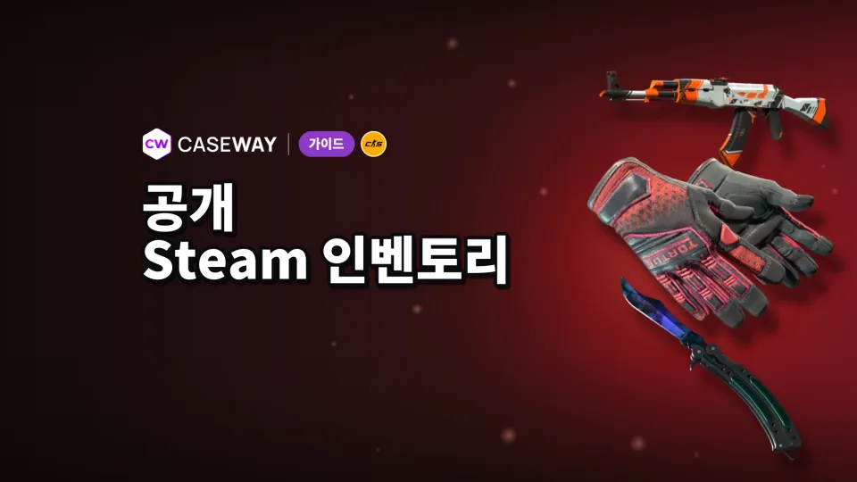 Steam 보관함 공개하는 법: 개인정보 설정과 사이트에서 보이지 않을 때 해결 방법
