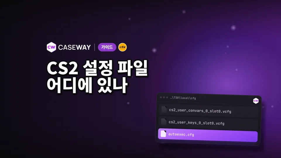 CS2 설정 파일 위치: 설정 저장,이전,초기화 방법