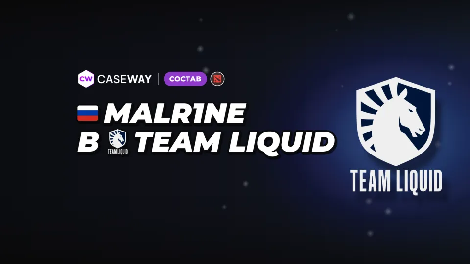 Трансферы недели: Malr1ne в Team Liquid и новый состав PlayTime