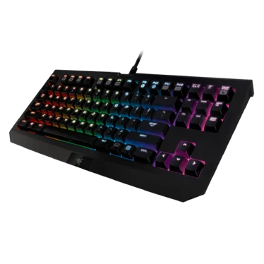 Razer Blackwidow Chroma TE V2