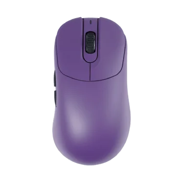 VAXEE NP-01S V3 Deep Purple