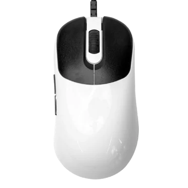 VAXEE ZYGEN NP-01S Glossy