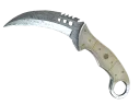 Talon | Damascus Steel
