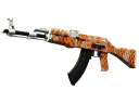 AK-47 | Safety Net