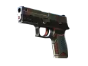 P250 | Cyberschutz