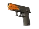 P250 | Splash