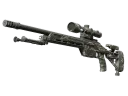 SSG 08 | Tigerriss