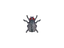 Sticker | Fruit Fly (Foil)