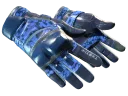 Motorradhandschuhe | Polygon
