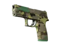 P250 | Bosque boreal