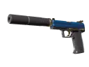 USP-S | 로얄 가드