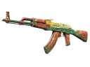 AK-47 | The Outsiders