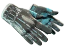 Gants de sport | Supraconducteur
