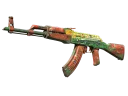 AK-47 | The Outsiders