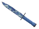 Baionetta | Bright Water
