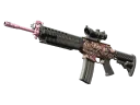 SG 553 | Desert Blossom
