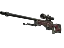 AWP | 이중성