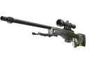 AWP | Worm God