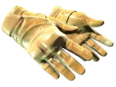 Moto Gloves
