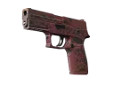 P250 | Contaminant