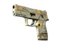 P250 | Cazador moderno