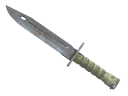 Bayonet | Pas Kaplı