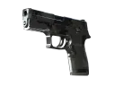 P250 | Metallic DDPAT