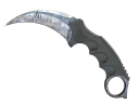 Karambit | Rust Coat