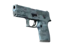 P250 | Nocny las