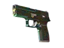 P250 | Visions