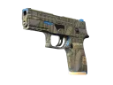 P250 | Exchanger