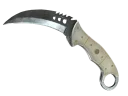 Talon