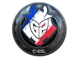 G2 Esports（闪亮）| 2019年卡托维兹锦标赛