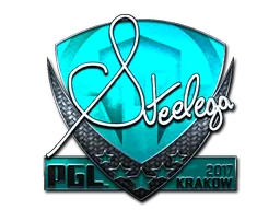 steel (speciální)