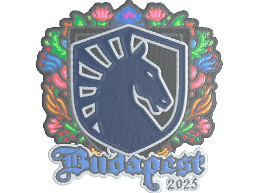 Team Liquid (Nakışlı)