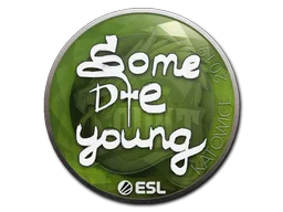 sdy
