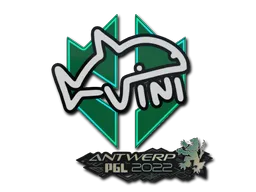 VINI