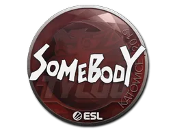 somebody
