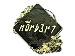 n0rb3r7 (Altın)